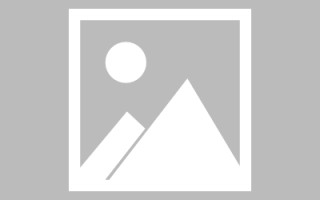 玉林网站字体免费制作平台（免费字体网站推荐）